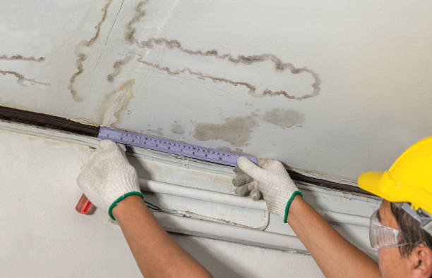 Reliable Burst Pipe Cleanup contractor in Lakewood, WA by Water Damage Irwin